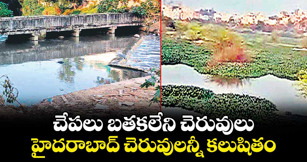 చేపలు బతకలేని  చెరువులు..హైదరాబాద్  చెరువులన్నీ కలుషితం