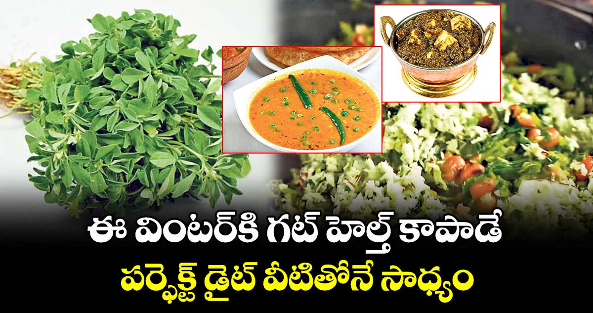 కిచెన్ తెలంగాణ: ఈ వింటర్ కి గట్ హెల్త్ కాపాడే.. పర్ఫెక్ట్ డైట్ వీటితోనే సాధ్యం