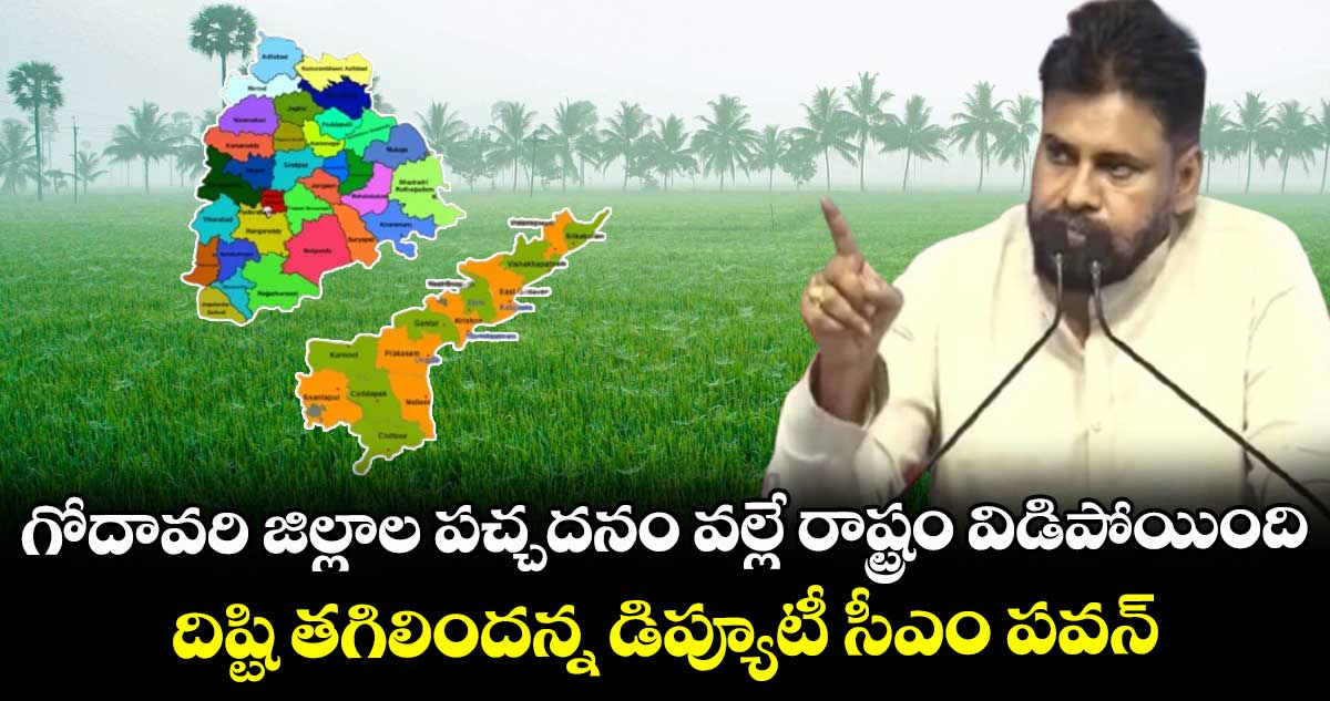 గోదావరి జిల్లాల పచ్చదనం వల్లే రాష్ట్రం విడిపోయింది : దిష్టి తగిలిందన్న డిప్యూటీ సీఎం పవన్