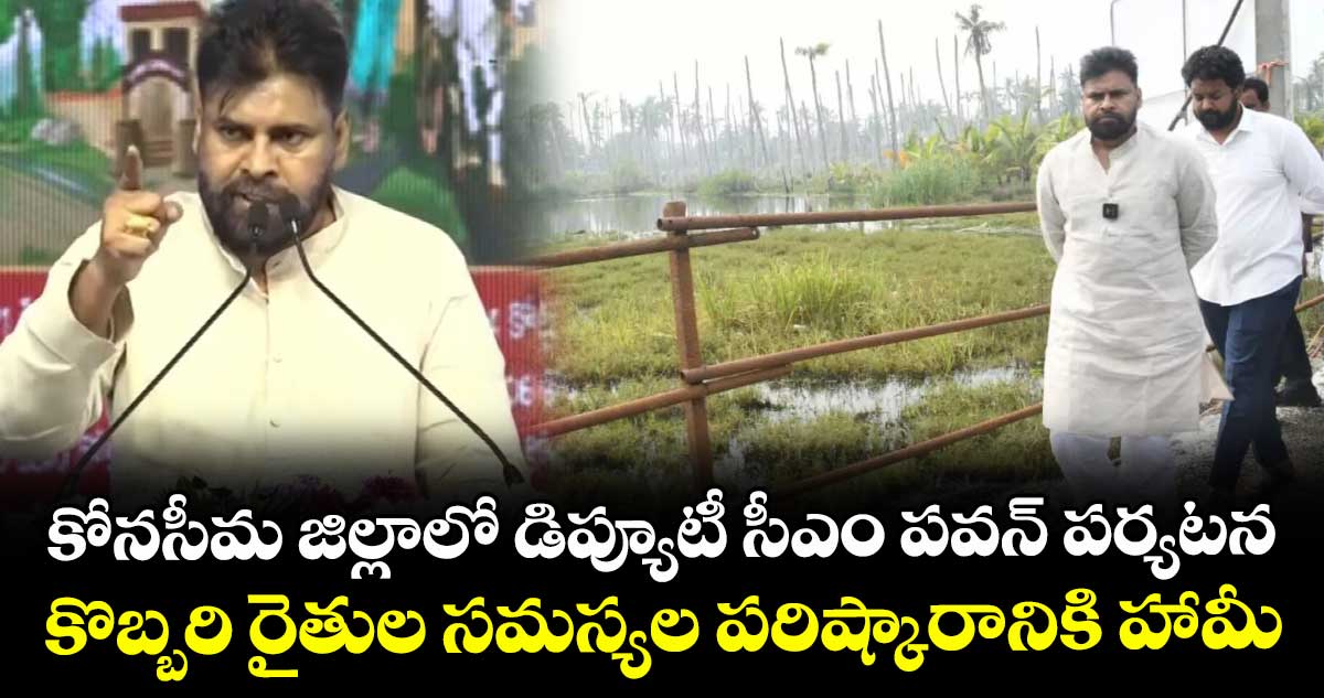 కోనసీమ జిల్లాలో డిప్యూటీ సీఎం పవన్ పర్యటన.. కొబ్బరి రైతుల సమస్యల పరిష్కారానికి హామీ.. 
