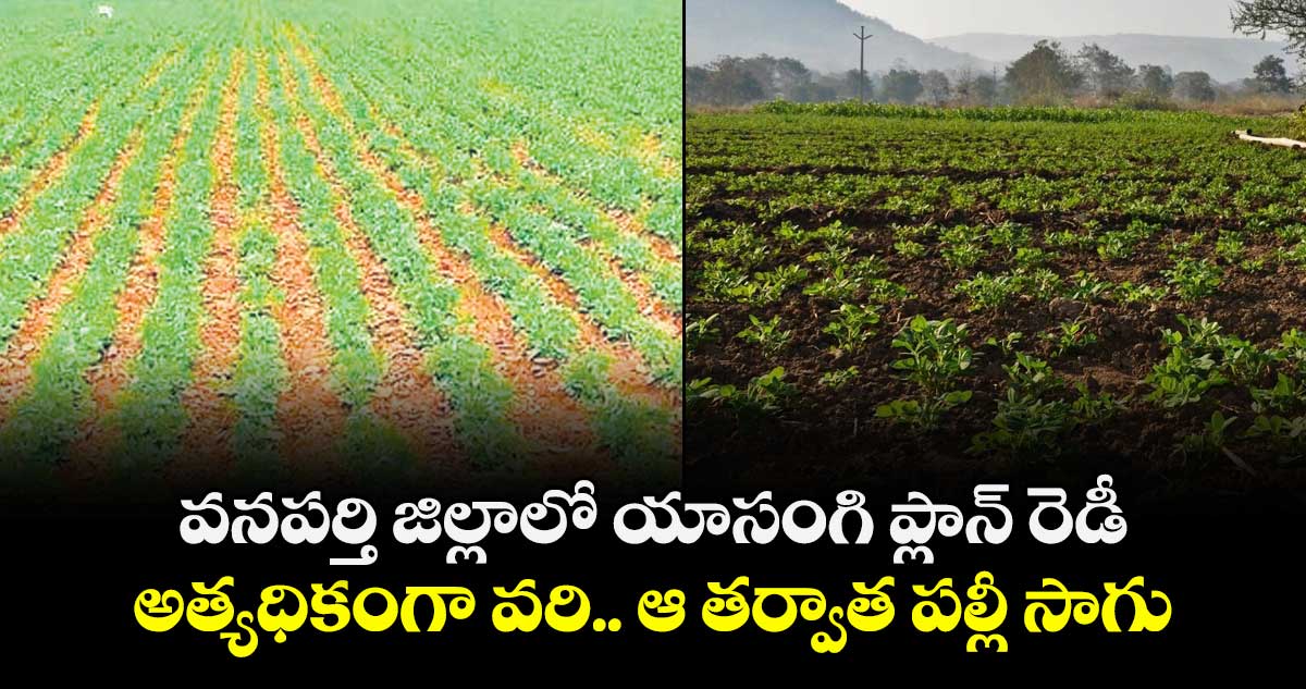 వనపర్తి జిల్లాలో యాసంగి ప్లాన్ రెడీ..అత్యధికంగా వరి.. ఆ తర్వాత పల్లీ సాగు 