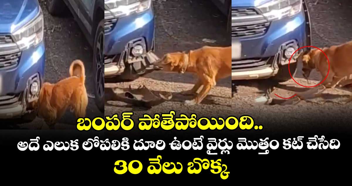 వీడియో వైరల్: బంపర్ పోతేపోయింది.. అదే ఎలుక లోపలికి దూరి ఉంటే వైర్లు మొత్తం కట్ చేసేది.. 30 వేలు బొక్క