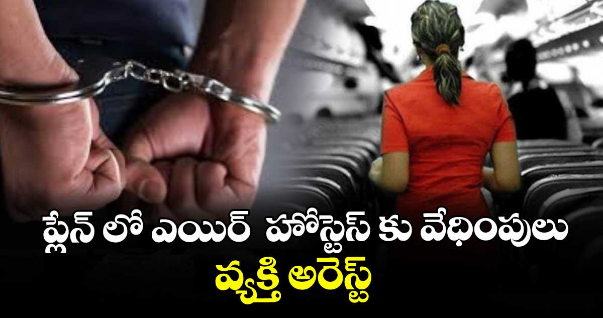 ప్లేన్ లో ఎయిర్‌‌  హోస్టెస్ కు వేధింపులు..వ్యక్తి అరెస్ట్