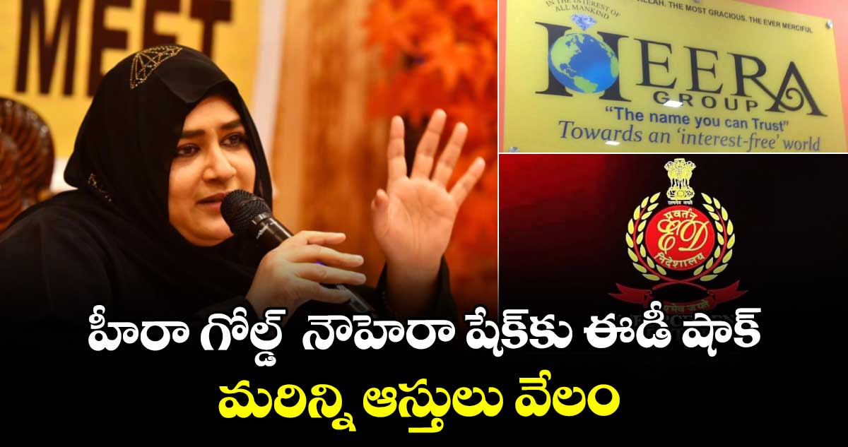 హీరా గోల్డ్  నౌహెరా షేక్‌కు ఈడీ షాక్.. మరిన్ని ఆస్తులు వేలం