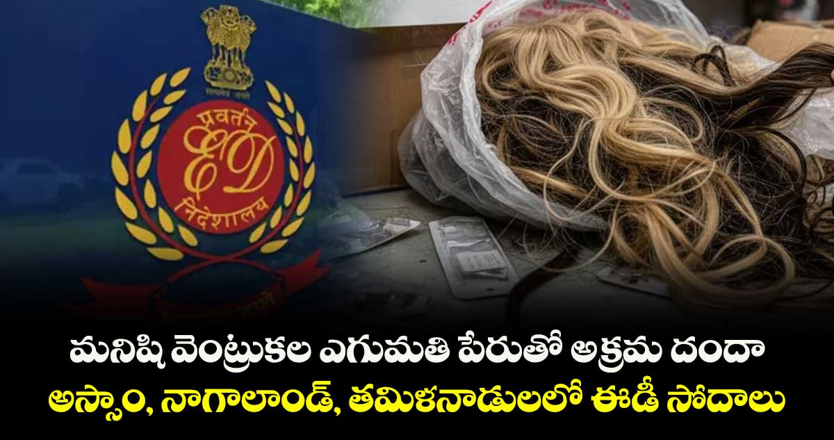 మనిషి వెంట్రుకల ఎగుమతి పేరుతో అక్రమ దందా.. అస్సాం, నాగాలాండ్, తమిళనాడులలో ఈడీ సోదాలు... 