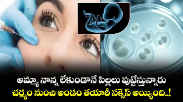 అమ్మా నాన్న లేకుండానే పిల్లలు పుట్టేస్తున్నారు.. చర్మం నుంచి అండం తయారీ సక్సెస్ అయ్యింది..!