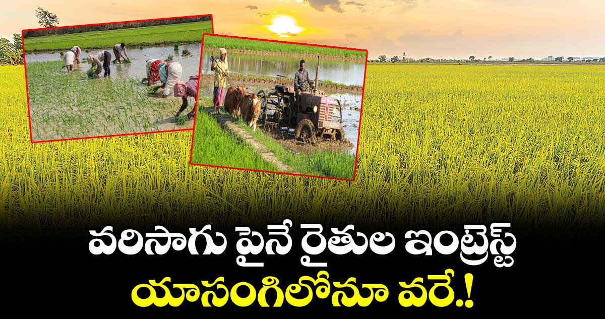 వరిసాగు పైనే  రైతుల ఇంట్రెస్ట్‌‌.. యాసంగిలోనూ వరే.!