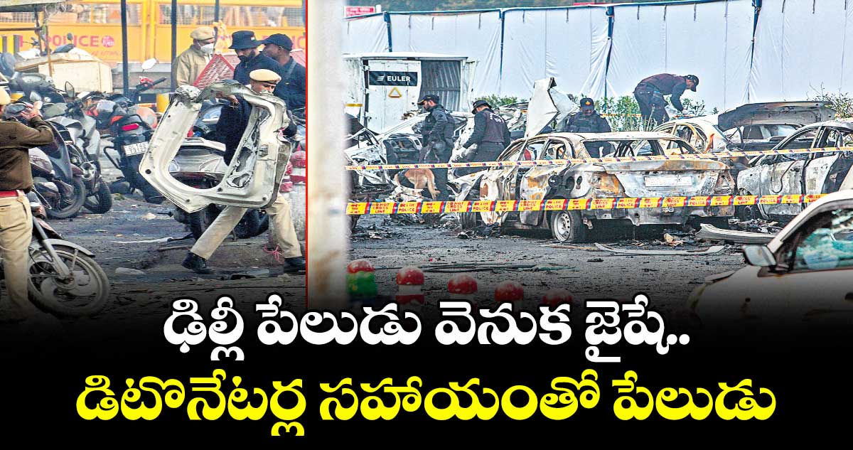 ఢిల్లీ పేలుడు వెనుక జైషే..డిటొనేటర్ల సహాయంతో పేలుడు