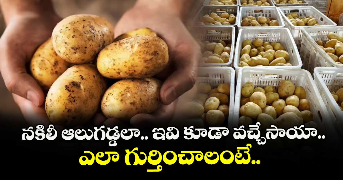నకిలీ ఆలుగడ్డలా.. ఇవి కూడా వచ్చేసాయా.. ఎలా గుర్తించాలంటే..