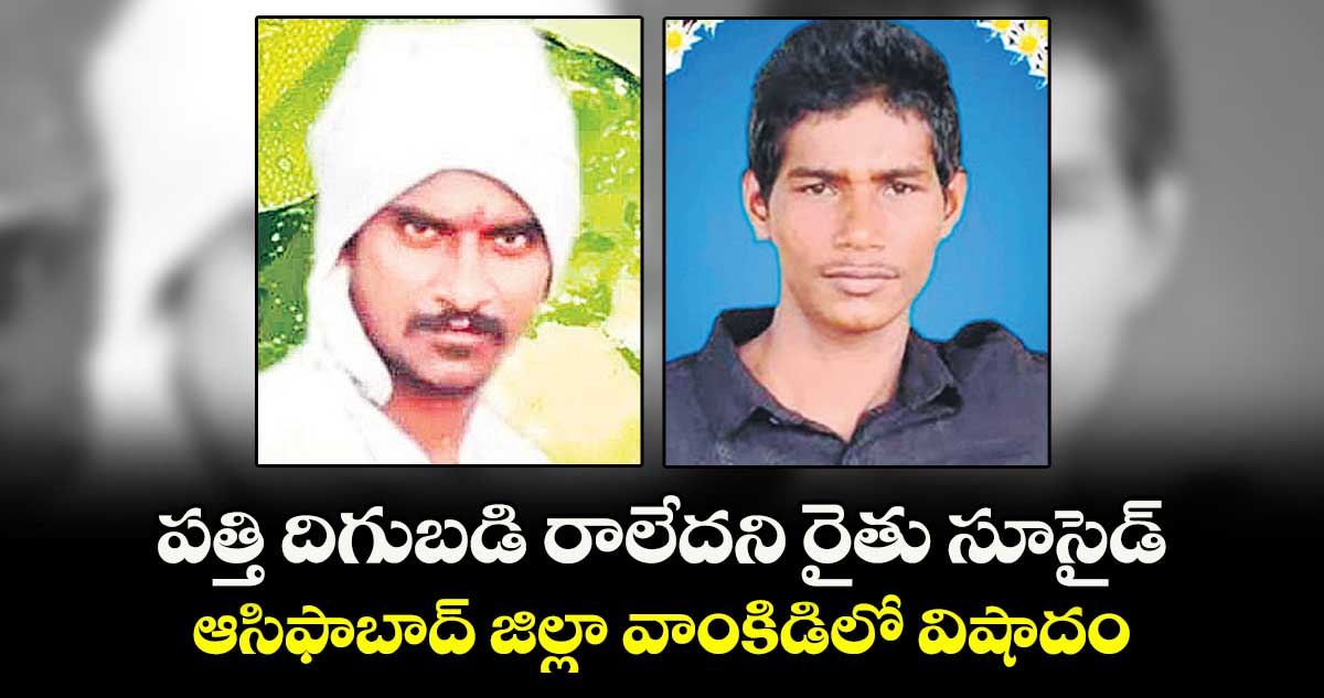 పత్తి దిగుబడి రాలేదని రైతు సూసైడ్‌‌...ఆసిఫాబాద్‌‌ జిల్లా వాంకిడిలో విషాదం