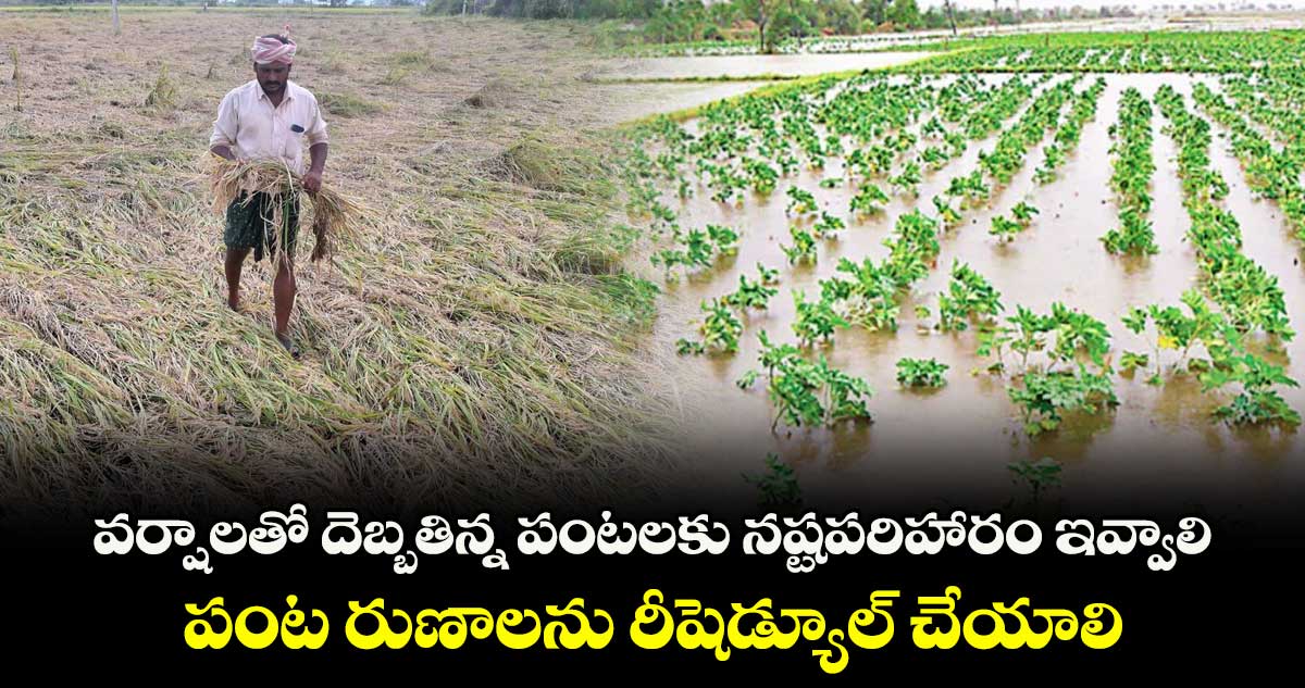 వర్షాలతో దెబ్బతిన్న పంటలకు నష్టపరిహారం ఇవ్వాలి..పంట రుణాలను రీషెడ్యూల్ చేయాలి: రైతు కమిషన్