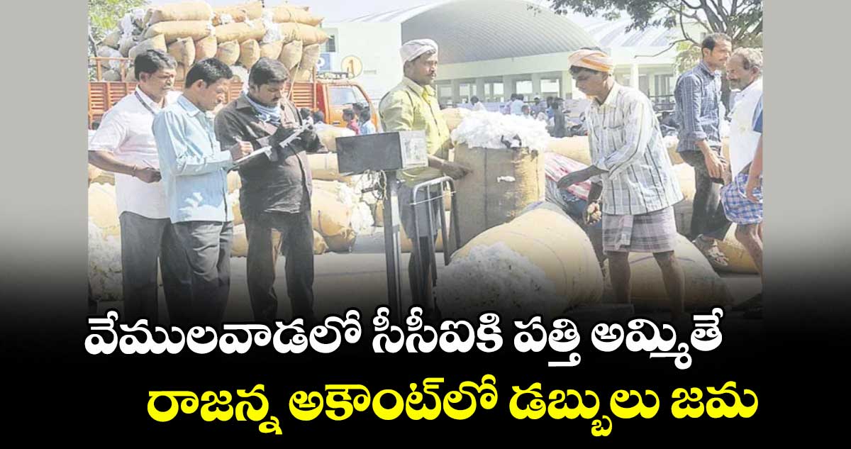 వేములవాడలో సీసీఐకి పత్తి అమ్మితే.. రాజన్న అకౌంట్‌‌‌‌‌‌‌‌‌‌‌‌‌‌‌‌లో డబ్బులు జమ