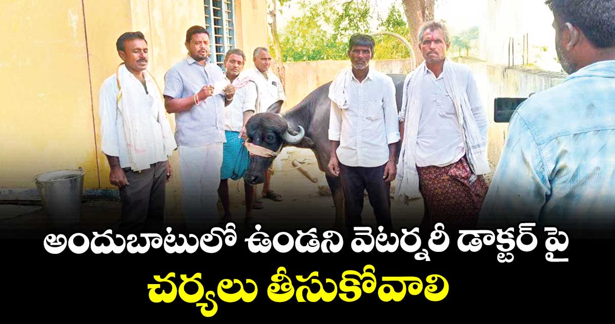  అందుబాటులో ఉండని వెటర్నరీ డాక్టర్ పై చర్యలు తీసుకోవాలి :  పల్సి గ్రామం రైతులు 