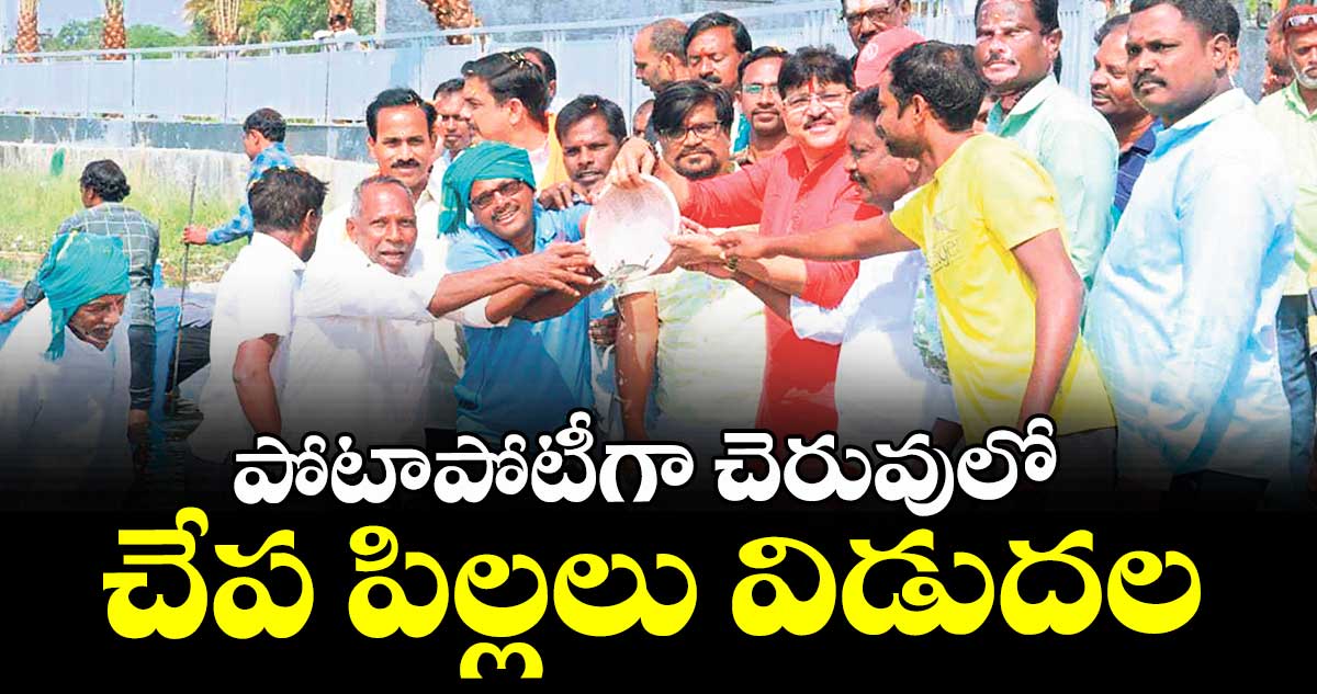 పోటాపోటీగా చెరువులో చేప  పిల్లలు విడుదల