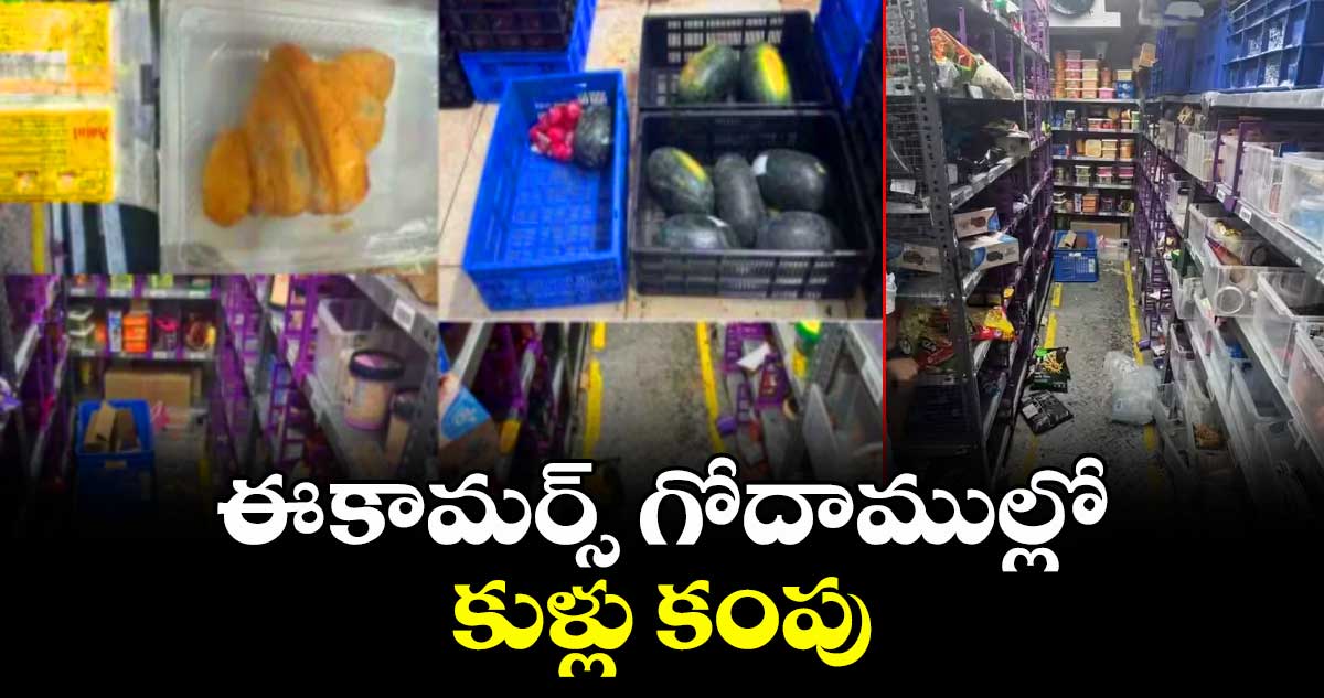 ఈ-కామర్స్ గోదాముల్లో కుళ్లు కంపు