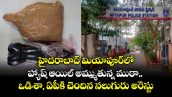 హైదరాబాద్ మియాపూర్⁭లో హ్యాష్ ఆయిల్ అమ్ముతున్న ముఠా.. ఒడిశా, ఏపీకి చెందిన నలుగురు అరెస్టు