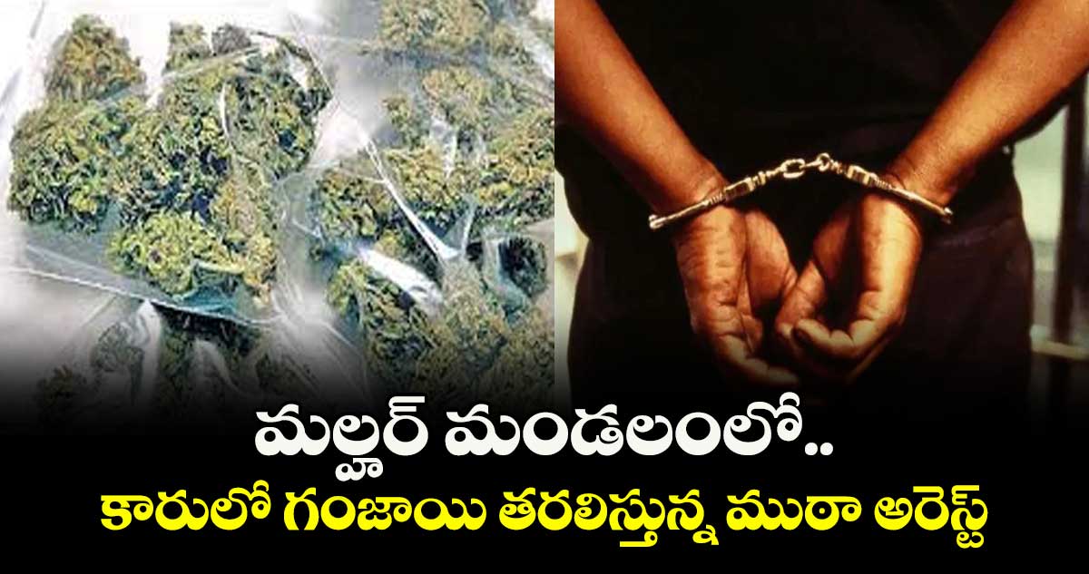 మల్హర్ మండలంలో  కారులో గంజాయి తరలిస్తున్న ముఠా అరెస్ట్