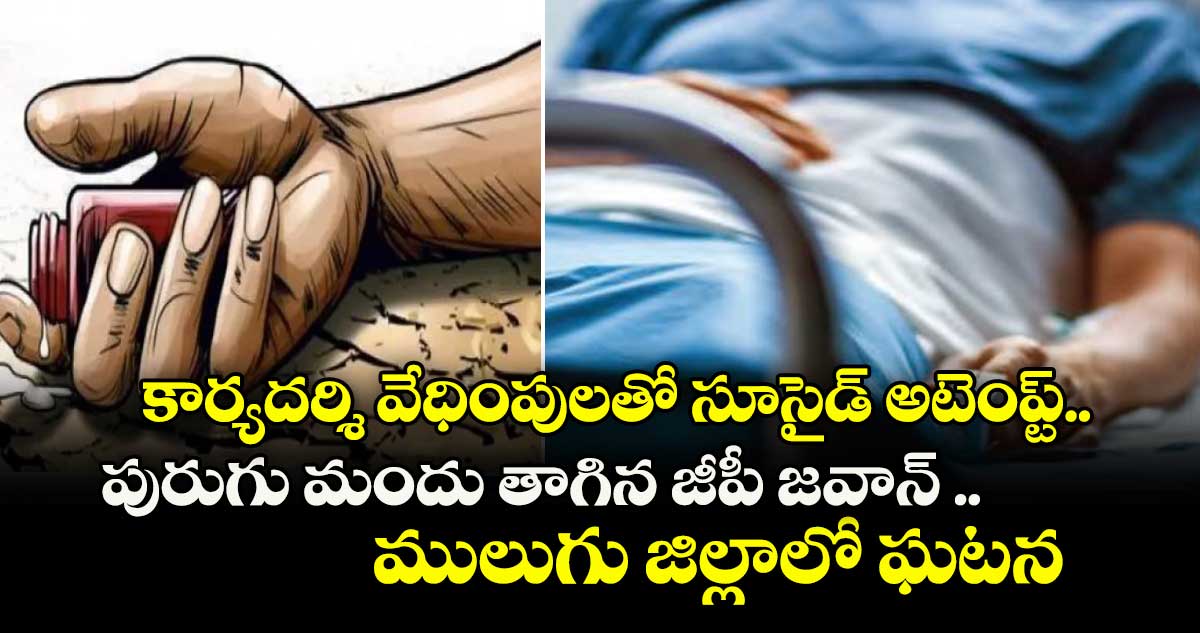 కార్యదర్శి వేధింపులతో సూసైడ్ అటెంప్ట్..పురుగు మందు తాగిన జీపీ జవాన్ ..ములుగు జిల్లాలో ఘటన