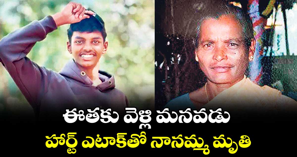 ఈతకు వెళ్లి మనవడు..హార్ట్‌‌‌‌‌‌‌‌ ఎటాక్‌‌‌‌‌‌‌‌తో నానమ్మ మృతి