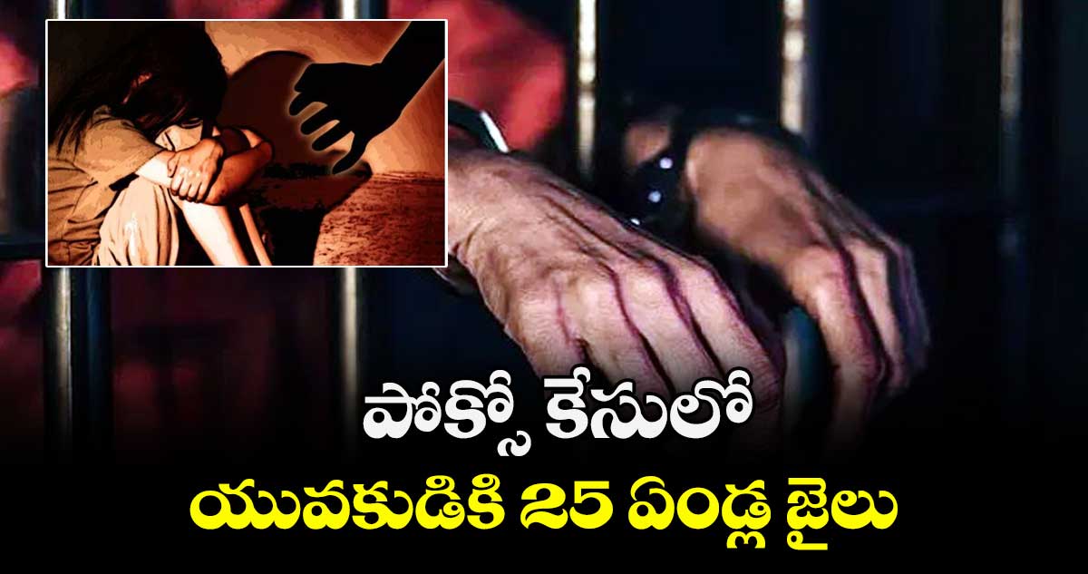 పోక్సో కేసులో  యువకుడికి 25 ఏండ్ల జైలు