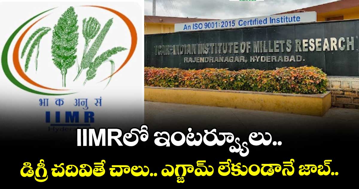 IIMRలో ఇంటర్వ్యూలు.. డిగ్రీ చదివితే చాలు.. ఎగ్జామ్ లేకుండానే జాబ్.. 