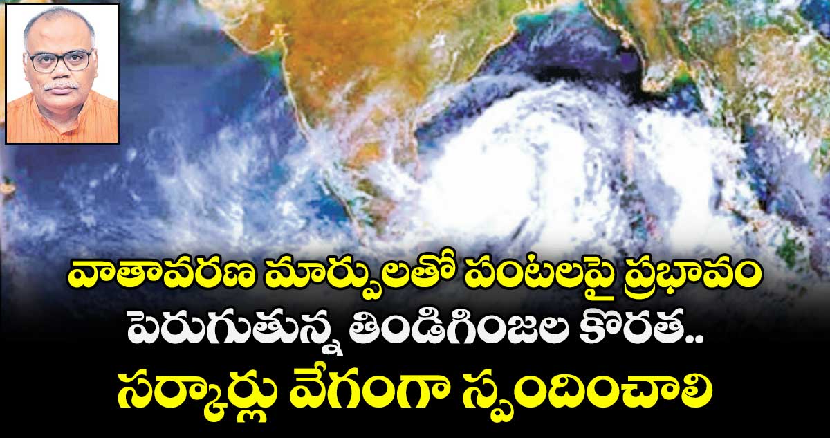 వాతావరణ మార్పులతో పంటలపై ప్రభావం.. పెరుగుతున్న తిండిగింజల కొరత.. సర్కార్లు వేగంగా స్పందించాలి