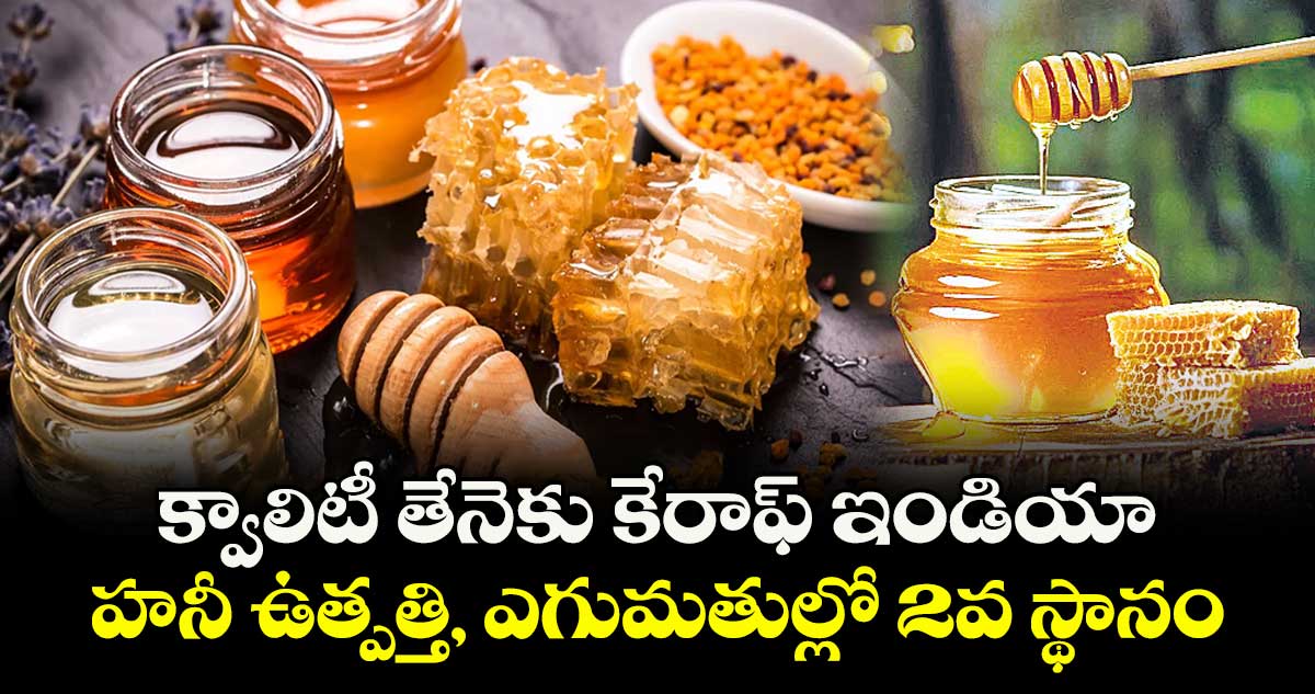 క్వాలిటీ తేనెకు కేరాఫ్ ఇండియా..హనీ ఉత్పత్తి, ఎగుమతుల్లో 2వ స్థానం