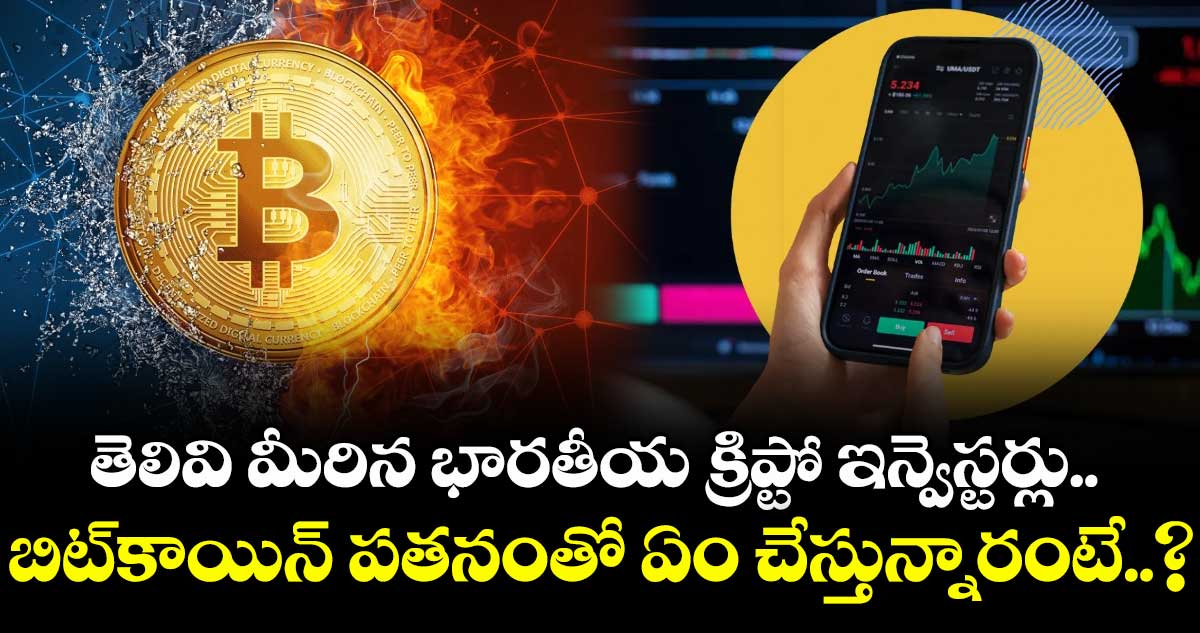 తెలివి మీరిన భారతీయ క్రిప్టో ఇన్వెస్టర్లు.. బిట్‌కాయిన్ పతనంతో ఏం చేస్తున్నారంటే..?