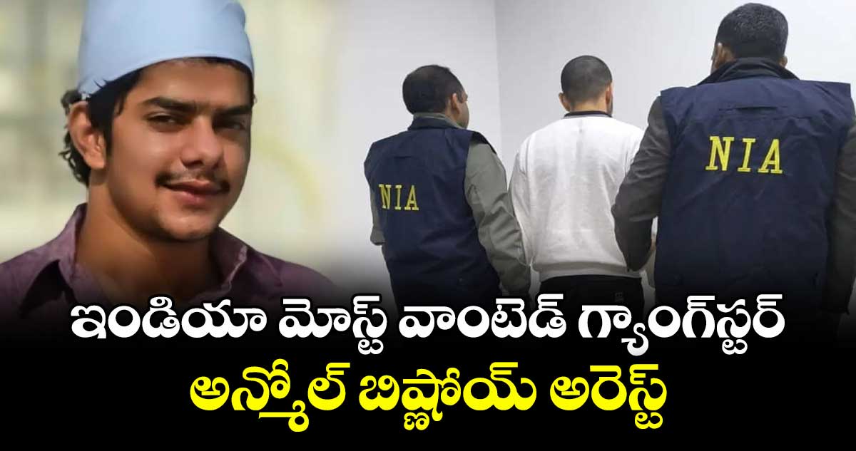 ఇండియా మోస్ట్ వాంటెడ్ గ్యాంగ్‎స్టర్ అన్మోల్ బిష్ణోయ్ అరెస్ట్