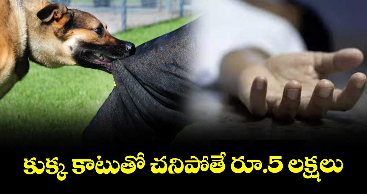 కుక్క కాటుతో చనిపోతే రూ.5 లక్షలు