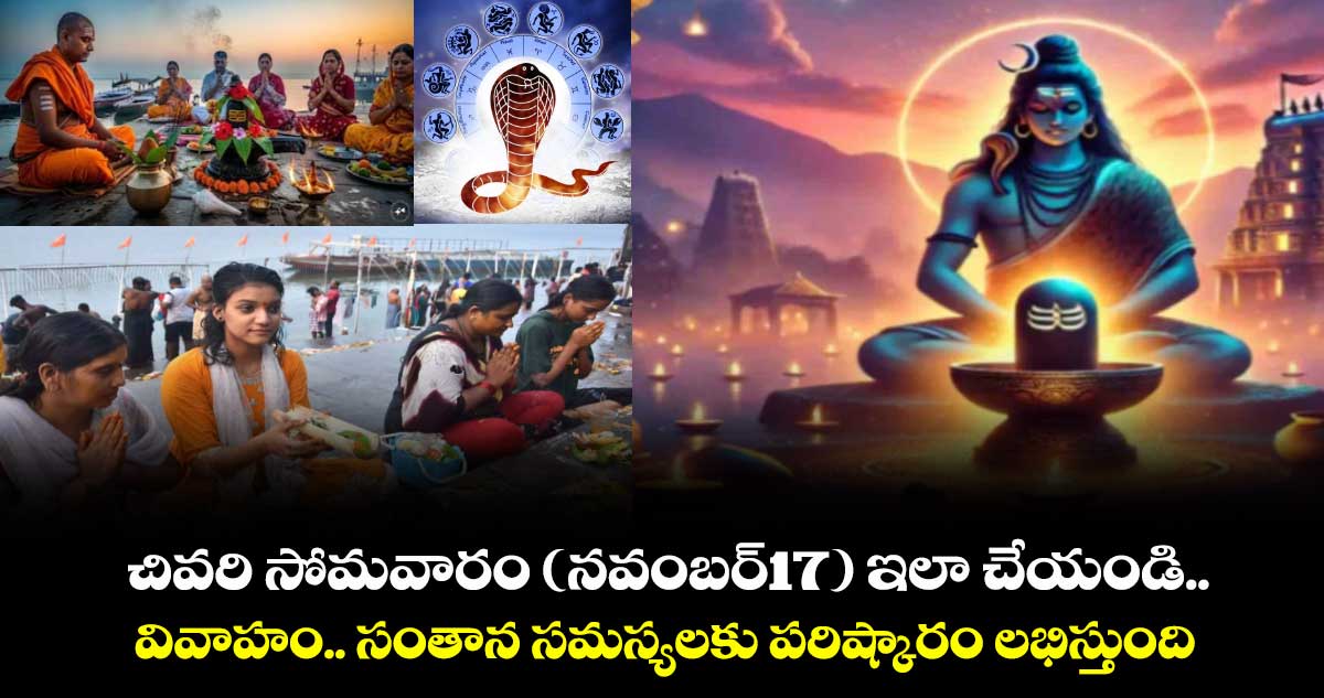 కార్తీకమాసం 2025:చివరి సోమవారం (నవంబర్17) ఇలా చేయండి..వివాహం.. సంతాన సమస్యలకు పరిష్కారం లభిస్తుంది