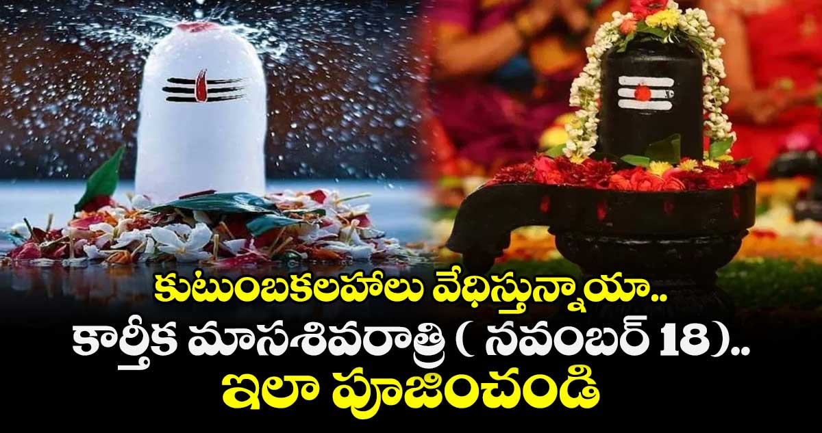 కార్తీకమాసం 2025:  కుటుంబకలహాలు వేధిస్తున్నాయా.. కార్తీక మాసశివరాత్రి ( నవంబర్ 18).. ఇలా పూజించండి.