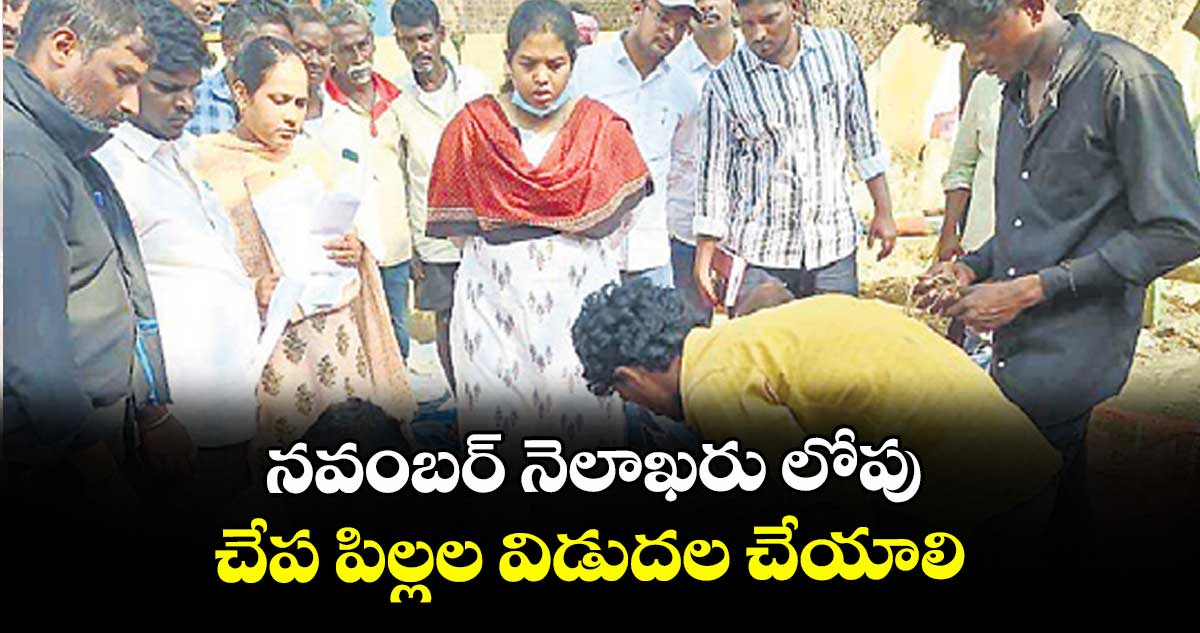 నవంబర్ నెలాఖరు లోపు చేప పిల్లల విడుదల చేయాలి : కలెక్టర్ శ్రీజ
