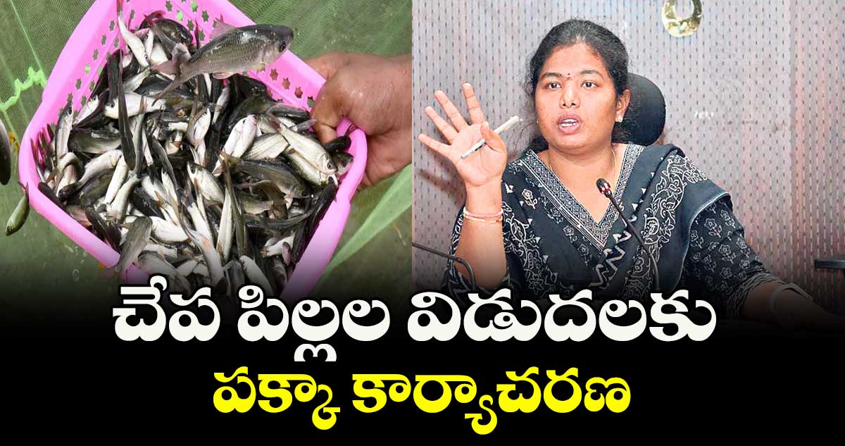 చేప పిల్లల విడుదలకు పక్కా కార్యాచరణ : ఇన్చార్జ్ కలెక్టర్ డాక్టర్ శ్రీజ