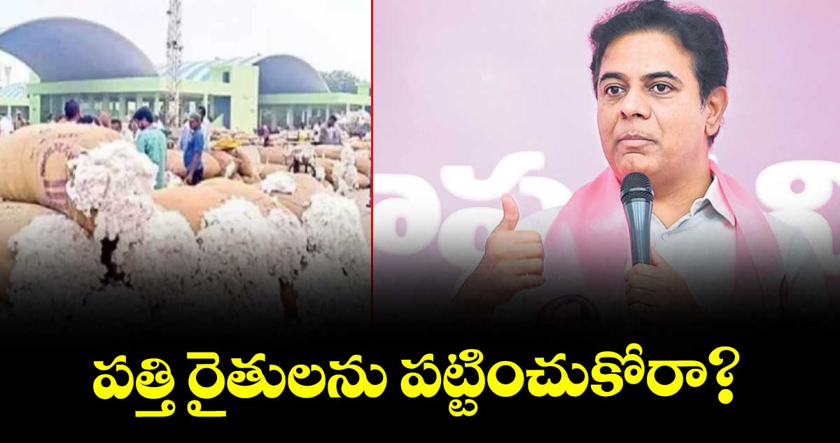 పత్తి రైతులను పట్టించుకోరా :  కేటీఆర్