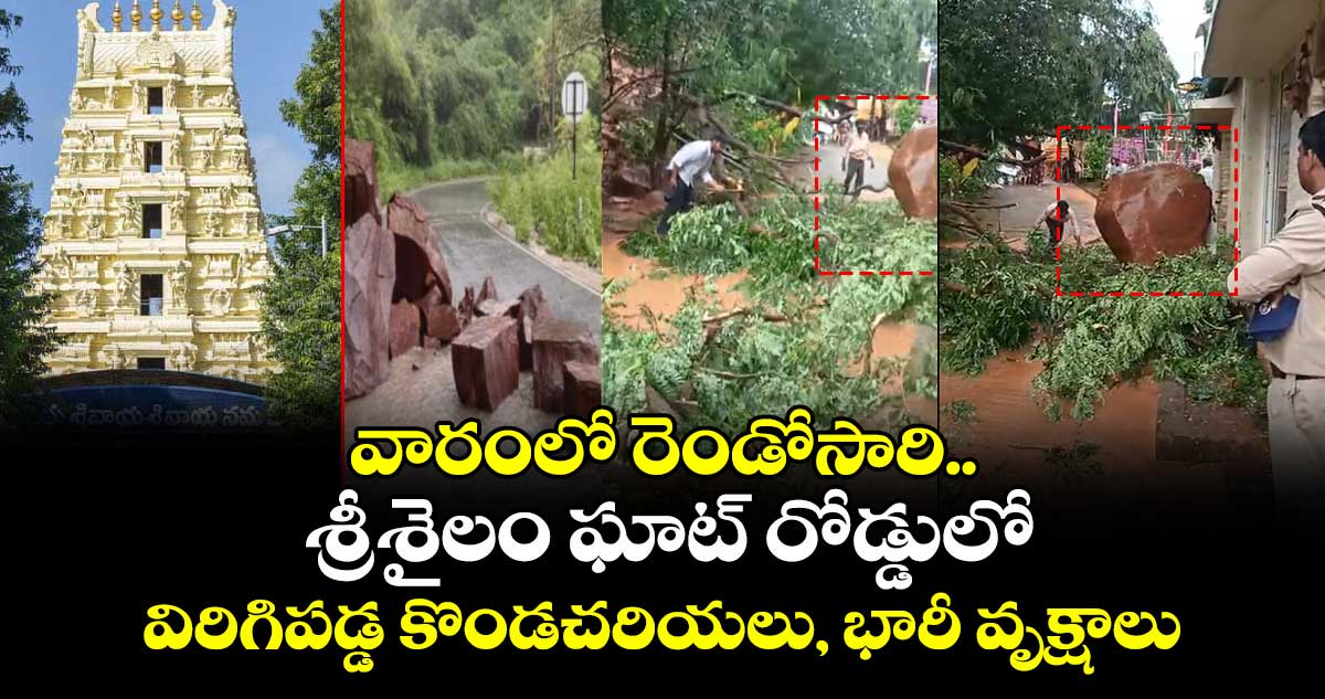 వారంలో రెండోసారి..శ్రీశైలం ఘాట్ రోడ్డులో  విరిగిపడ్డ కొండచరియలు, భారీ వృక్షాలు