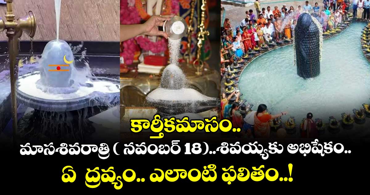 కార్తీకమాసం.. మాసశివరాత్రి ( నవంబర్ 18)..  శివయ్యకు అభిషేకం.. ఏ  ద్రవ్యం.. ఎలాంటి ఫలితం..! 