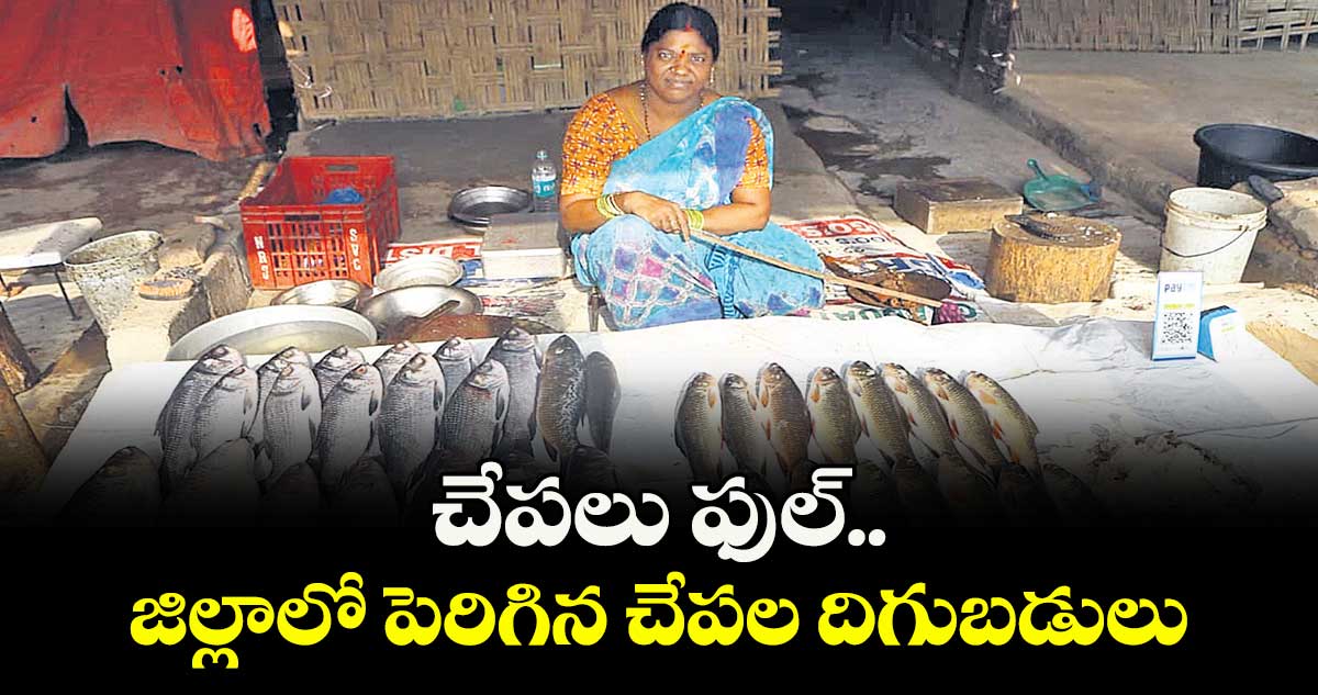 చేపలు ఫుల్..  జిల్లాలో పెరిగిన చేపల దిగుబడులు 