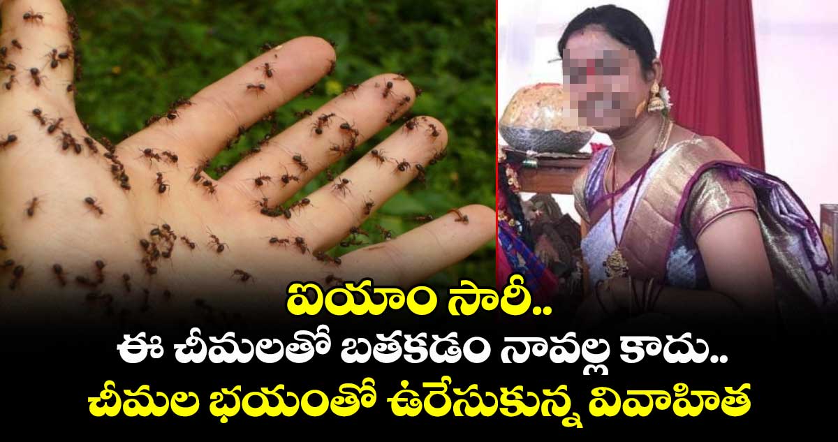 ఐయాం సారీ.. ఈ చీమలతో  బతకడం నావల్ల కాదు..సంగారెడ్డిలో చీమల భయంతో ఉరేసుకున్న వివాహిత