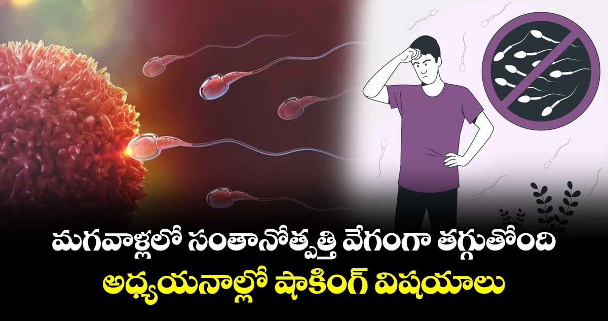 మగవాళ్లలో సంతానోత్పత్తి వేగంగా తగ్గుతోంది..అధ్యయనాల్లో షాకింగ్ విషయాలు 