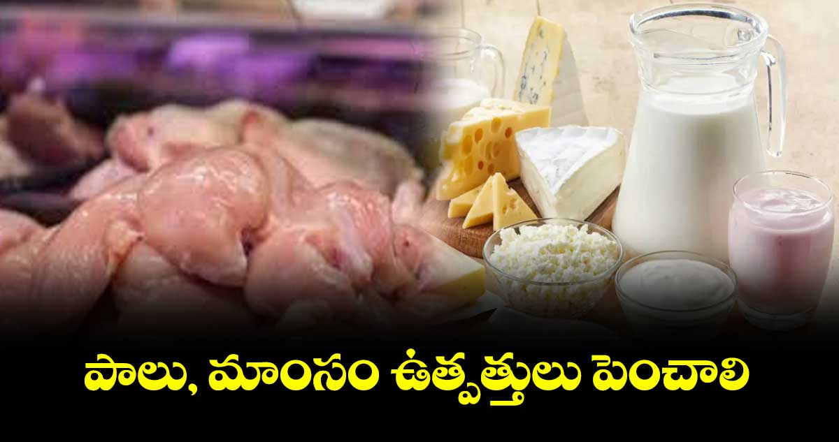 పాలు, మాంసం ఉత్పత్తులు పెంచాలి: డాక్టర్ కె. ఇలంబర్తి 