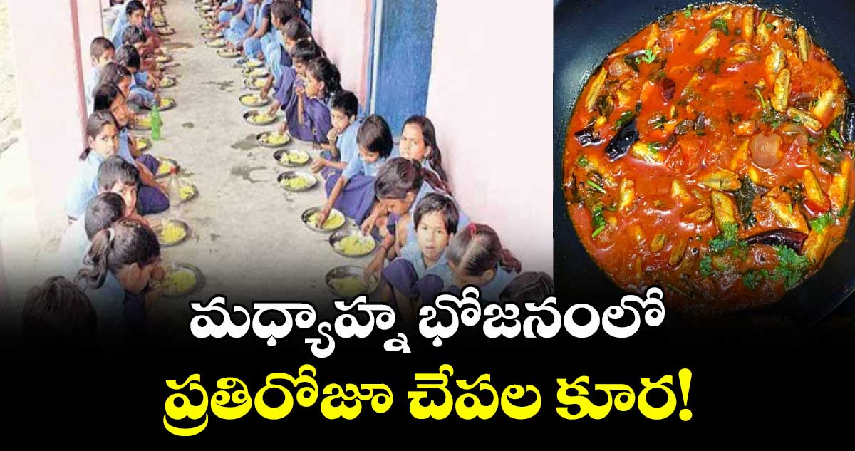 మధ్యాహ్న భోజనంలో ప్రతిరోజూ  చేపల కూర!