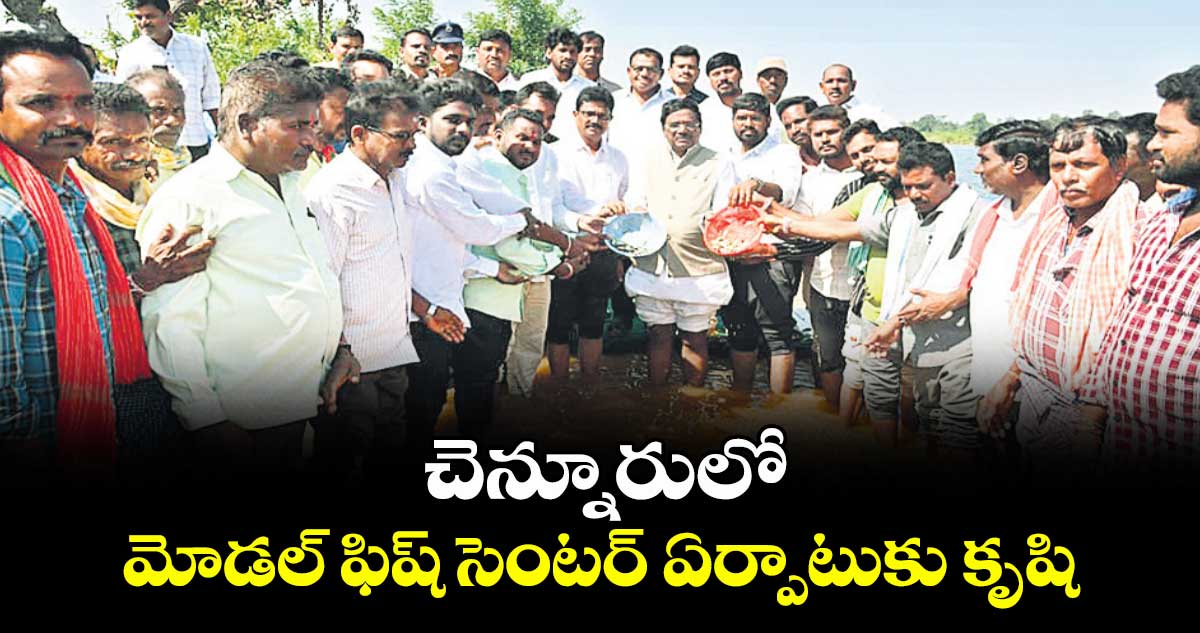 చెన్నూరులో మోడల్ ఫిష్ సెంటర్ ఏర్పాటుకు కృషి: మంత్రి వివేక్