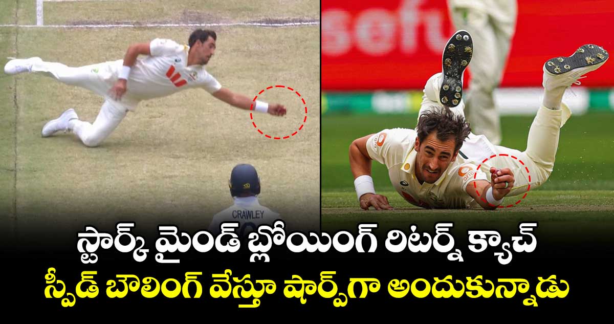 Mitchell Starc: స్టార్క్ మైండ్ బ్లోయింగ్ రిటర్న్ క్యాచ్.. స్పీడ్ బౌలింగ్ వేస్తూ షార్ప్‌గా అందుకున్నాడు
