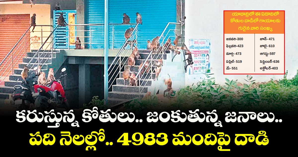 కరుస్తున్న కోతులు.. జంకుతున్న జనాలు.. పది నెలల్లో.. 4983 మందిపై దాడి