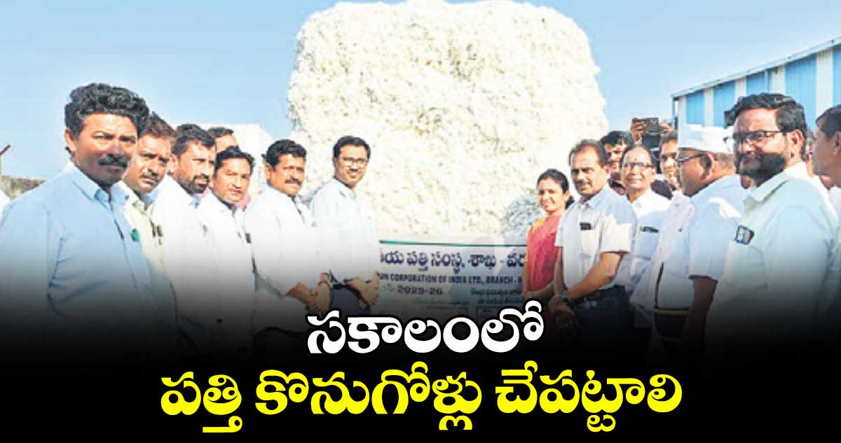 సకాలంలో పత్తి కొనుగోళ్లు చేపట్టాలి : కలెక్టర్ దివాకర 