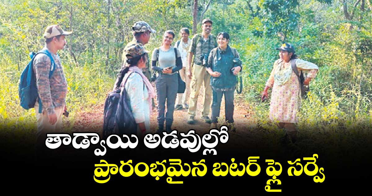 తాడ్వాయి అడవుల్లో ప్రారంభమైన బటర్ ఫ్లై సర్వే