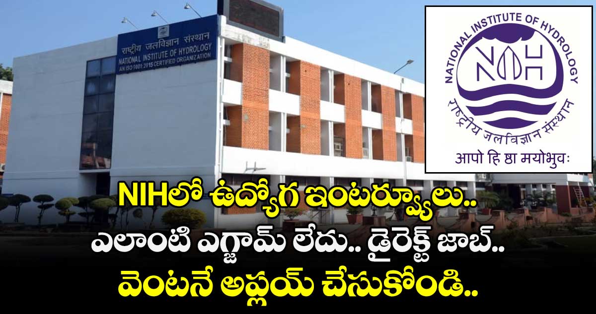 NIHలో ఉద్యోగ ఇంటర్వ్యూలు.. ఎలాంటి ఎగ్జామ్ లేదు.. డైరెక్ట్ జాబ్.. వెంటనే అప్లయ్ చేసుకోండి..   