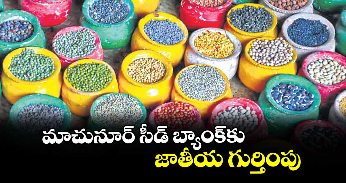 మాచునూర్‌‌‌‌ సీడ్‌‌‌‌ బ్యాంక్‌‌‌‌కు జాతీయ గుర్తింపు
