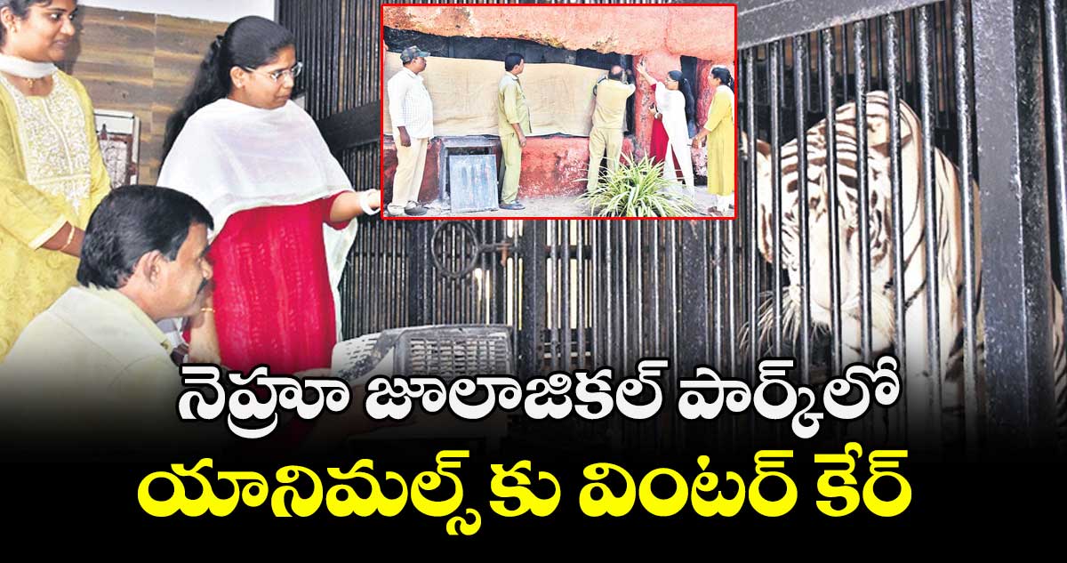  నెహ్రూ జూలాజికల్ పార్క్‌‌‌‌‌‌‌‌‌‌‌‌‌‌‌‌లో యానిమల్స్ కు వింటర్ కేర్
